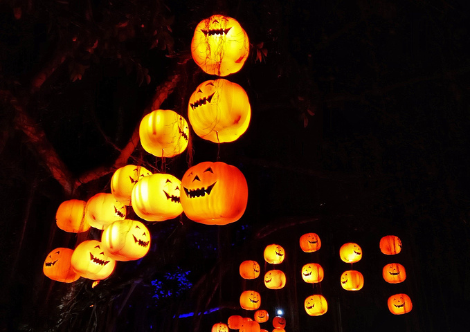 【星空官方网站】电影《奔跑吧!合伙人》3月上映 小鲜肉创业(图4) 星空app官方网页