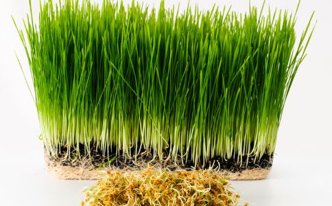 星空官方网站_广东一男子持扁担袭警凌晨被当场击毙(图3) 星空官方网站