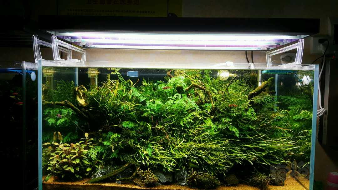 星空app官方网页