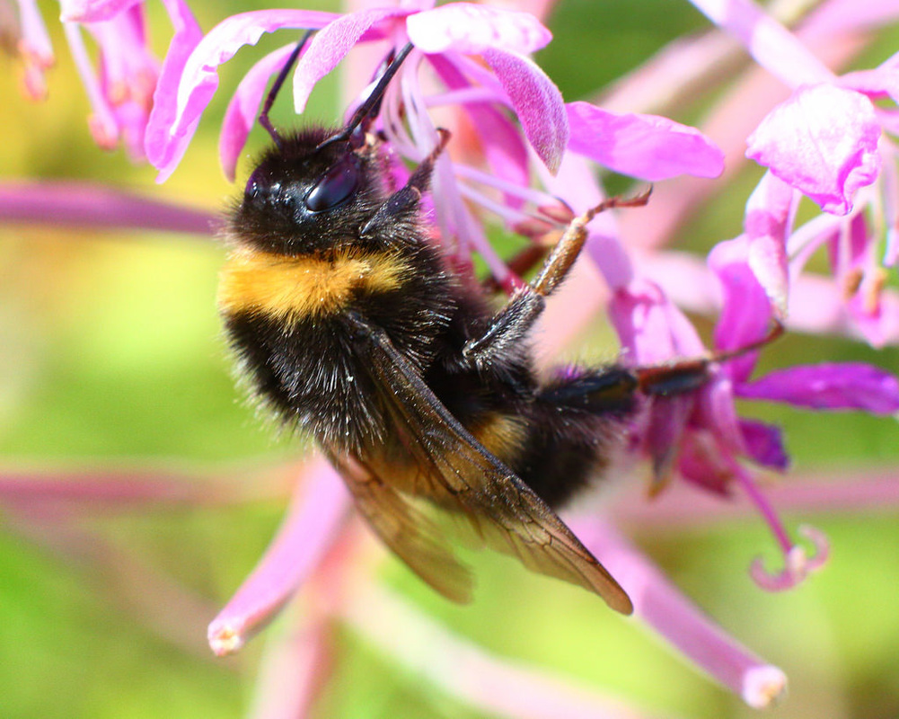 《奇迹男孩》首曝“成长奇迹”预告,全奥斯卡阵容打造感动力作【星空官方网站】(图2) 星空官方网站