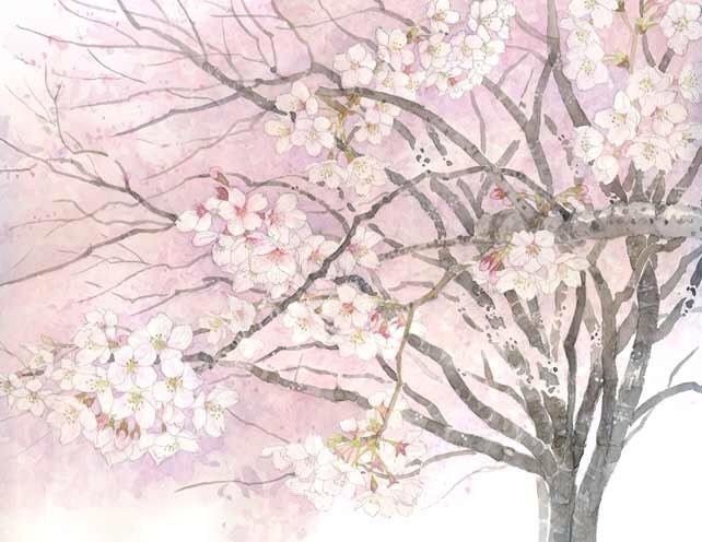 《奇迹男孩》首曝“成长奇迹”预告,全奥斯卡阵容打造感动力作【星空官方网站】(图4) 星空app官网