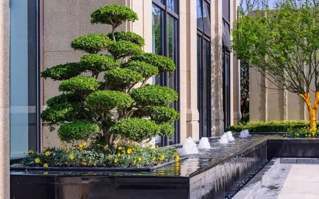 星空官方网站-《父子雄兵》今起上映,制造合家欢喜剧燃情体验(图4) 星空app官方网页