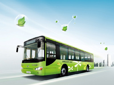 星空官方网站_《鹭世界》曝故事版预告 看一只苍鹭的生存史诗(图3) 星空app官网