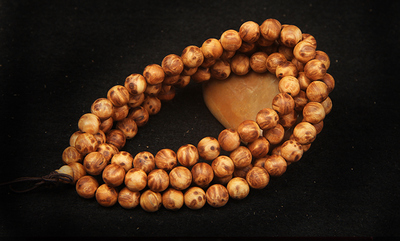 星空官方网站_《鹭世界》曝故事版预告 看一只苍鹭的生存史诗(图2) 星空app官方网页