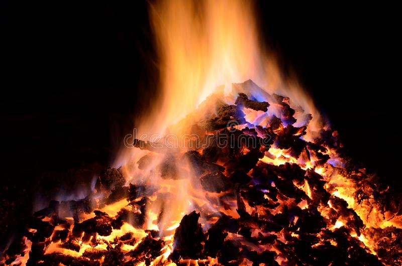 迪士尼真人电影《花木兰》删吻戏 刘亦菲自己演了90%的特技戏份|星空app官网(图2) 星空app官网