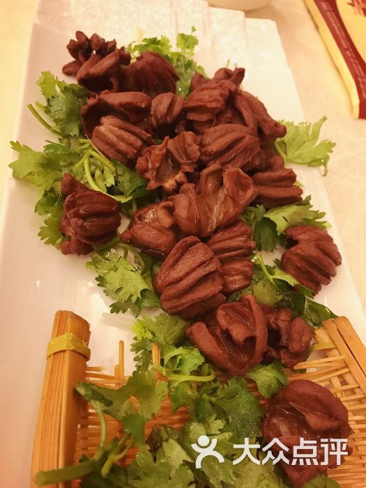 星空app官方网页