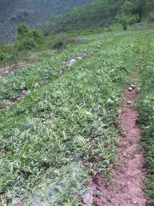 星空app官方网页