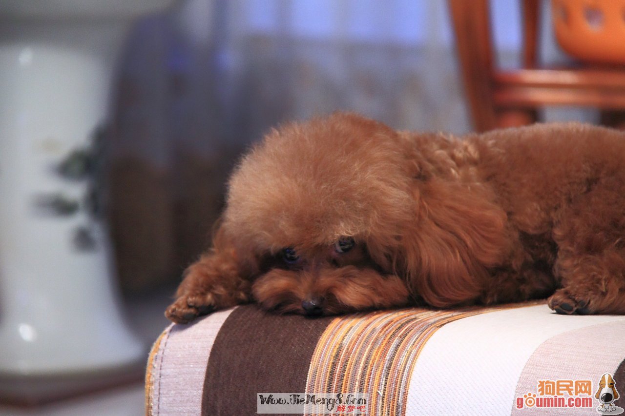 星空app官方网页