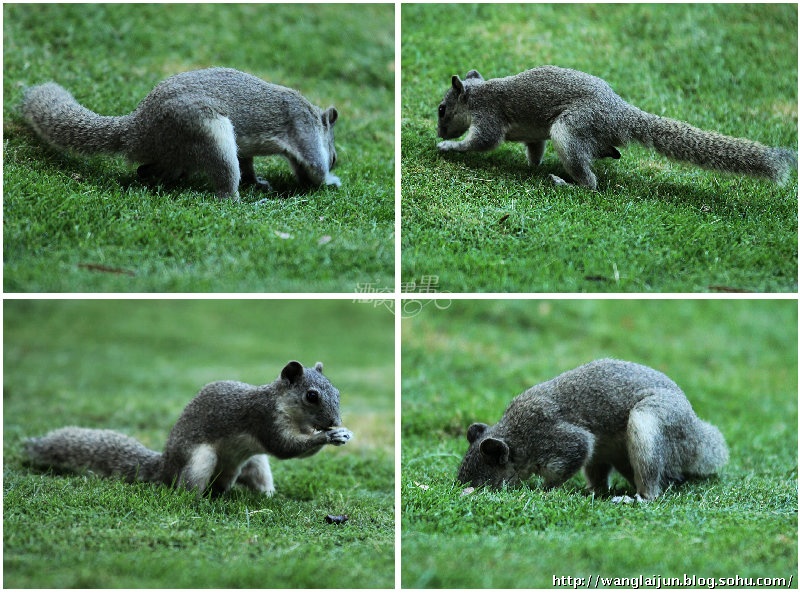 星空app官方网页