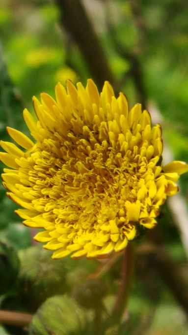 星空app官方网页