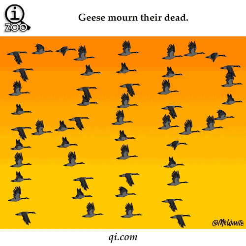 5年霸屏751天,“屏霸”古天乐为何人见人爱?“星空app官方网页”(图1) 星空官方网站