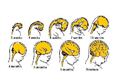 白一弘出席时装高定发布会 格纹西装诠释高贵轻奢风_星空app官方网页(图2) 星空app官网