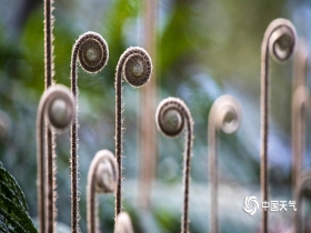 星空app官方网页