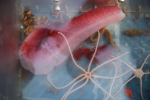 星空app官方网页